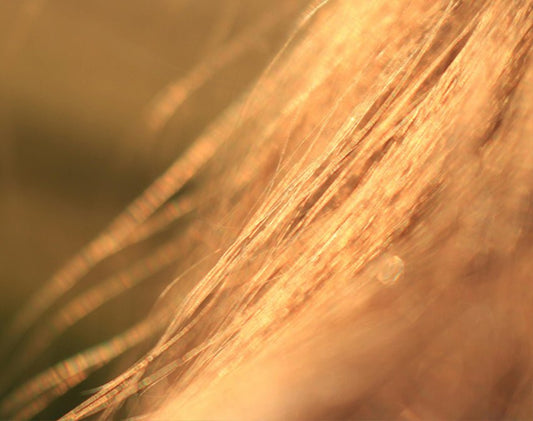 Why redheads should always use a leave-in conditioner - Gingerful